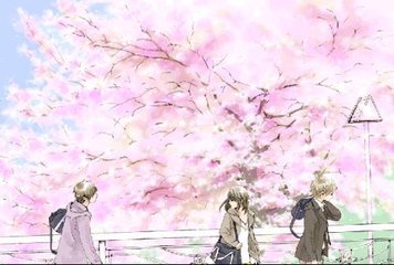 老中医spa阴道护理